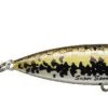 Fishing American Legacy Fishing | Heddon Super Spook Feathered Treble