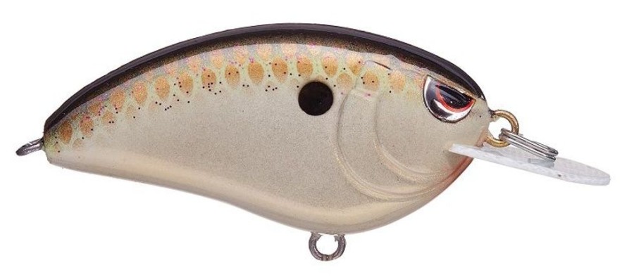 Fishing American Legacy Fishing | Spro Little John Type R 50 Crankbaits
