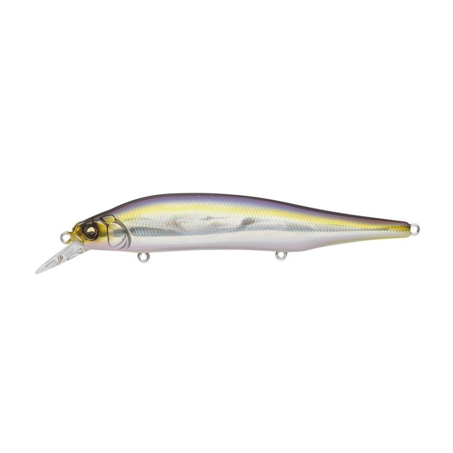 Fishing American Legacy Fishing | Megabass Ito Shiner Jerkbait