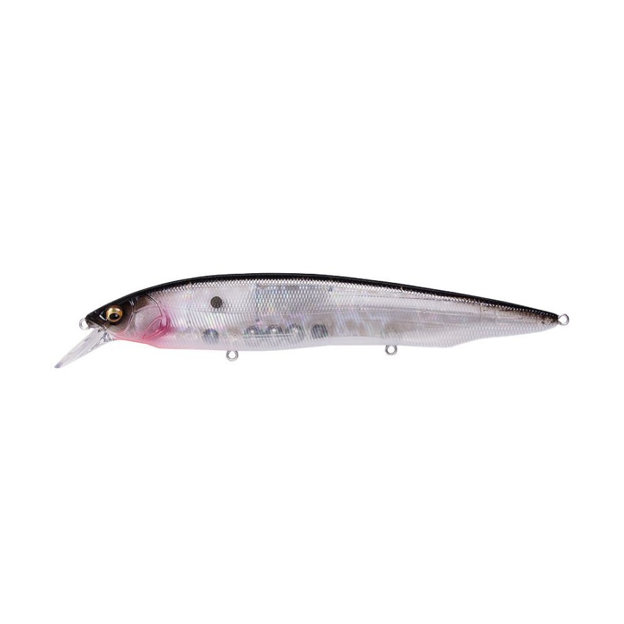Fishing American Legacy Fishing | Megabass Kanata Jerkbait