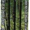 Hunting Barnett Arrows & Shafts | Barnett Jr Archery Arrows 3/Pack B19007